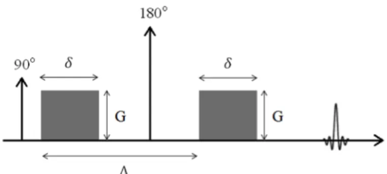 FIGURE 2.  A schematic illustration of a diffusion sensitive pulse sequence.   