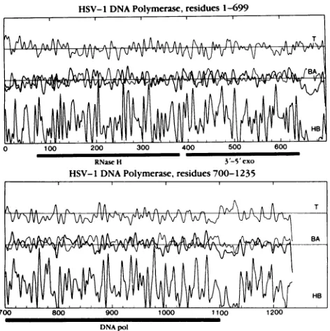 FIG.1.(within(3'-5'line,each(HB).middlemerase Amino acid sequence profiles of the HSV-1 DNA poly- computed and smoothed as described previously (38)