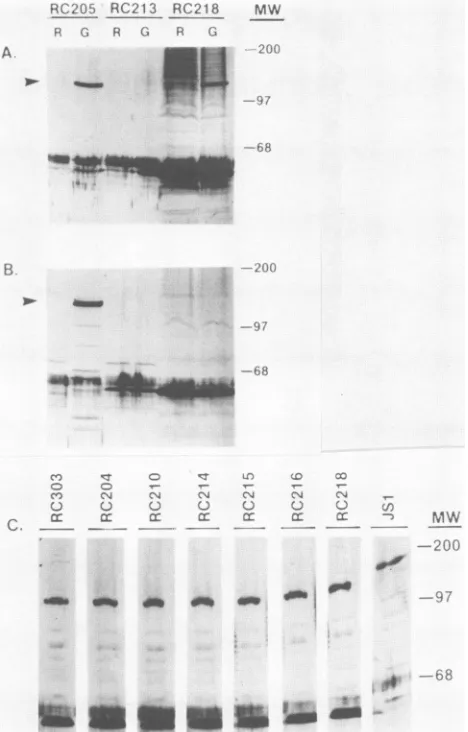 FIG. 4.text.expressarediagramwhetherThecontainingrequired(0)showinginSchematicsequencesHSV-1shown