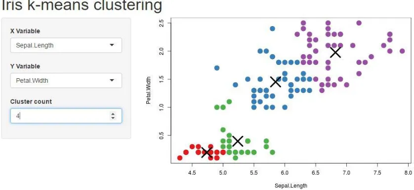 Figure 8. R + Shiny application of a sample dataset 