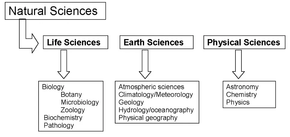 Figure 1 Areas covered and terms used to extract the data