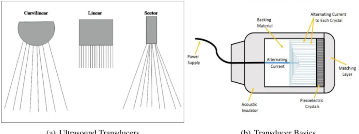 Figure 1.3: Ultrasound Transducers.