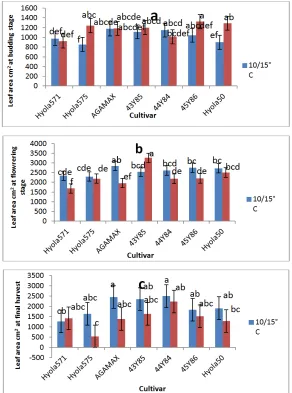 Fig. 3. Leaf area plant-1budding (growth stage 3.1) (b) flowering  and  (c )  during the final harvest at growth stage 5.4  (cm2) of different canola genotypes , measured at (a)the beginning of in response to night/ day temperatures  of 10/15˚C and 15/20˚C 
