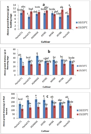 Fig. 4. Dry mass  plant budding (growth stage 3.1) (b) flowering  and  (c )  during the final harvest at growth stage 5.4 -1 (g) of different canola genotypes , measured at  (a)the beginning of in response to night/ day temperatures  of 10/15˚C and 15/20˚C