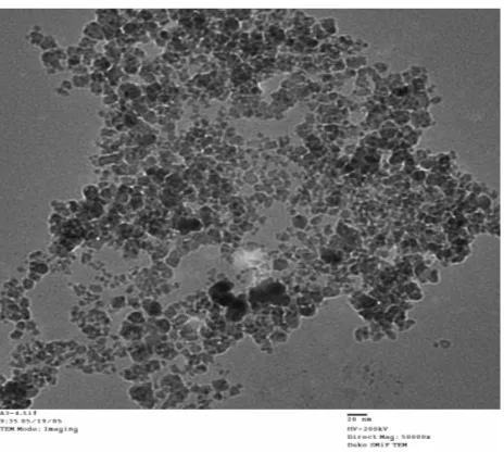 Table 1 Magnetite Particle Diameter Mean and Std. Deviation 