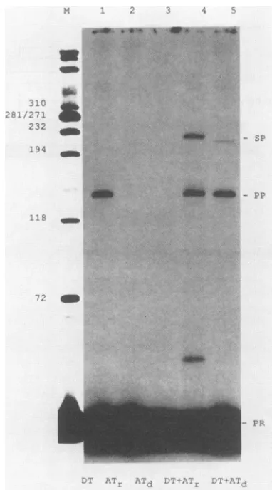 TABLE 1. Requirement of RNase H domainfor template switching"