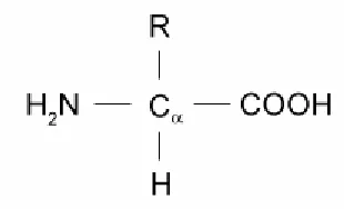 Figure 1.1: General structure of �-amino acids 