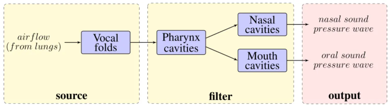 Figure 2: Schema of sourcelter model of speech production, adapted from [29, 31].
