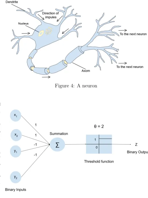 Figure 4: A neuron