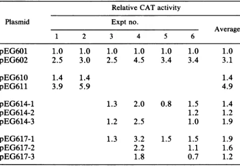 FIG. 2.transfectedpEG602LTRs. Transcriptionalactivity of N1T-E and N1T-A virus CR10/NiT-A cells (107) chronically infected with HIV-1 were with the designated amounts of plasmid pEG601or and evaluated for CAT activity as described in the text.