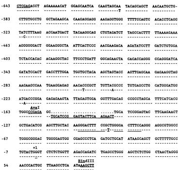 FIG. 3.repeats,sequence Nucleotide sequences of the HIV-1 LTR fragments present in plasmids pEG601 and pEG602