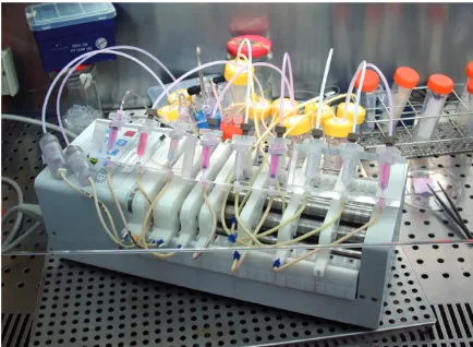 Figure 1. A bioreactor in which naïve or modified stem cells are allowed under controlled circumstances to differentiate and produce extracellular matrix (or resorb or otherwise modify  their scaffold) before implantation to the recipient