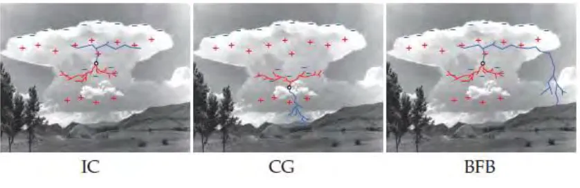 Figure 2.4: Three general types of lightning flashes [10]. 