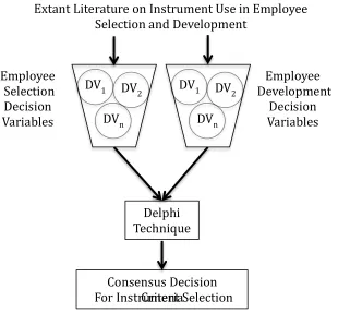 Figure 2.  Conceptual framework  