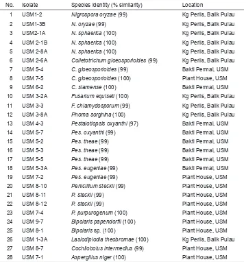 Table 1: Endophytic fungi isolated from banana leaves identified using ITS sequences.