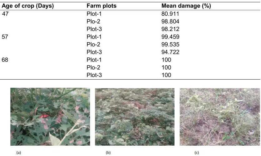 Table 2. Damage to foliage at different periods during the growth cycle  