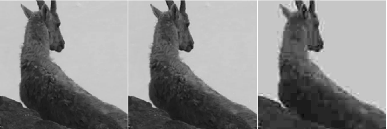 Figure 1.2 A lossless format image (left) compressed to a JPEG image at 90% quality (center) and 10% quality (right).