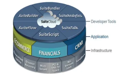 Figure 3: NetSuit Cloud Platform [12] 