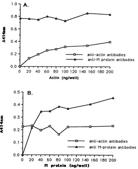 FIG. 6.amountsandcoatedto different Membrane protein of NDV and antiactin antibodies bind sites on actin