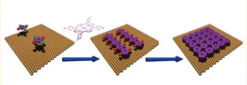 Figure 4. 2D Polymers by Sequential Growth: Custom-designed monomers equipped with two different activating groups polymerise first (at low temperature) in one dimension to yield chains, which are then (at higher temperature) crosslinked in the second dime