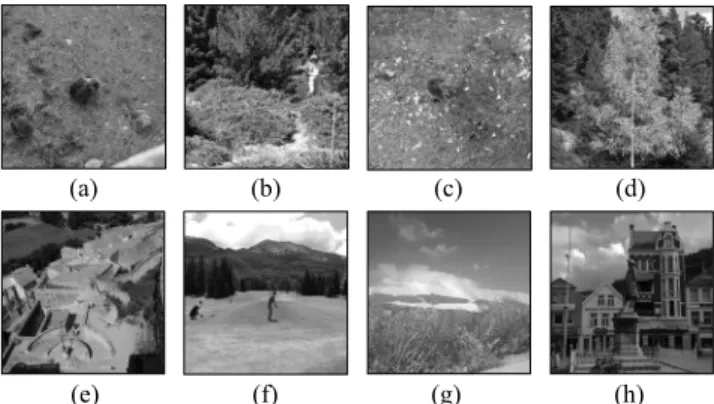 FIGURE 3. Demonstration of images (a)∼(d) selected by the method in [25], and images (e)∼(h) selected arbitrarily.