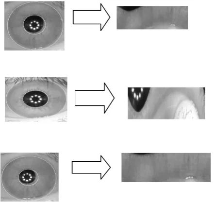 Figure 3: Iris Localization of various images from the CASIA database. 