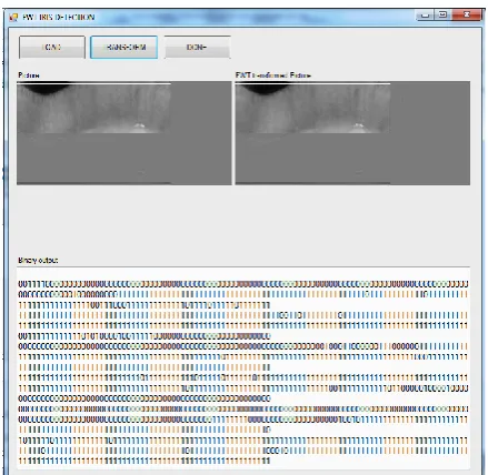 Figure 5(b):  FWT feature encoding for Normalized iris 9. 