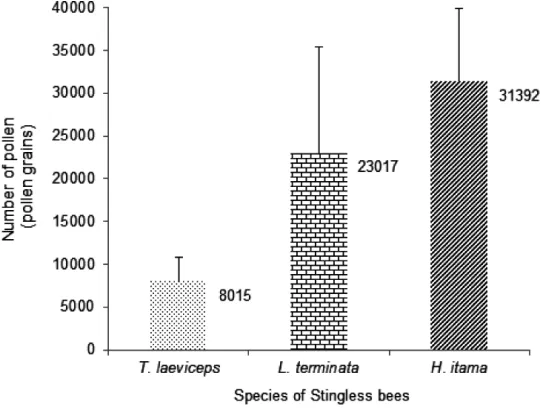 Figure 3: The relationship between body weight of stingless bees and the number of pollen attached on the body.