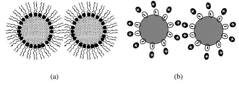 Figure 1.2: Schematic representation of nanoparticles stabilization by: (a) Steric 