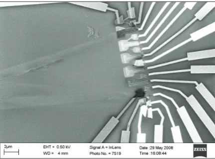 Figure 1. Schematic of a graphene-based double quantum dot  (after B. Trauzettel, D.V