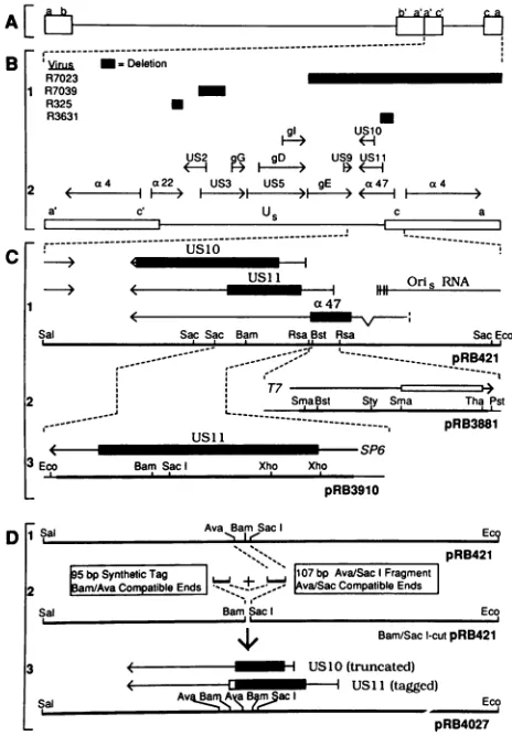 FIG.component