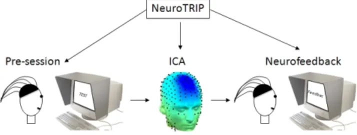 Figure 1.   Overview of NeuroTRIP. ICA is run on pre-session data which  is then used for Neurofeedback