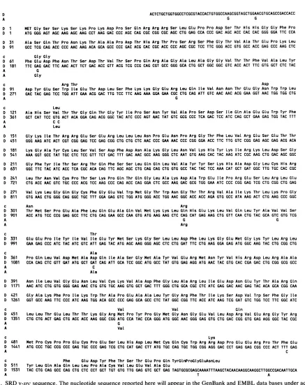 FIG.1.numbermarkedsequencingregions, SRD v-src sequence. The nucleotide sequence reported here will appear in the GenBank and EMBL data bases under accession M33292