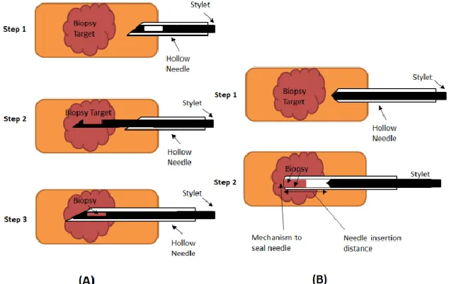 Figure 3.1 (A) Tru-cut and (B) End-cut needle biopsy [Moore 2011] 