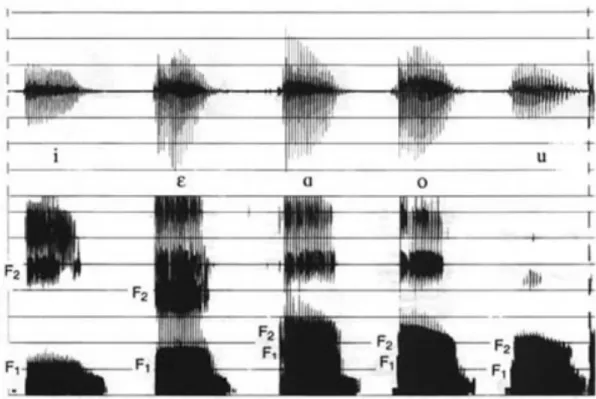 Figure 10. Narrowband spectrogram. [29]  (Looks like poor frequency, but good time) (Reproduced without  permission) 