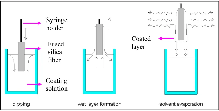 Figure 1.3  
