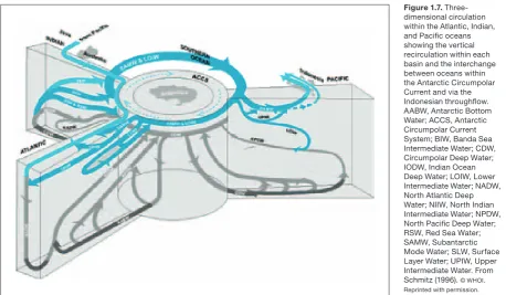 Figure 1.7. Three-dimensional circulation within the Atlantic, Indian, and Pacific oceans showing the vertical recirculation within each basin and the interchange between oceans within the Antarctic Circumpolar Current and via the Indonesian throughflow