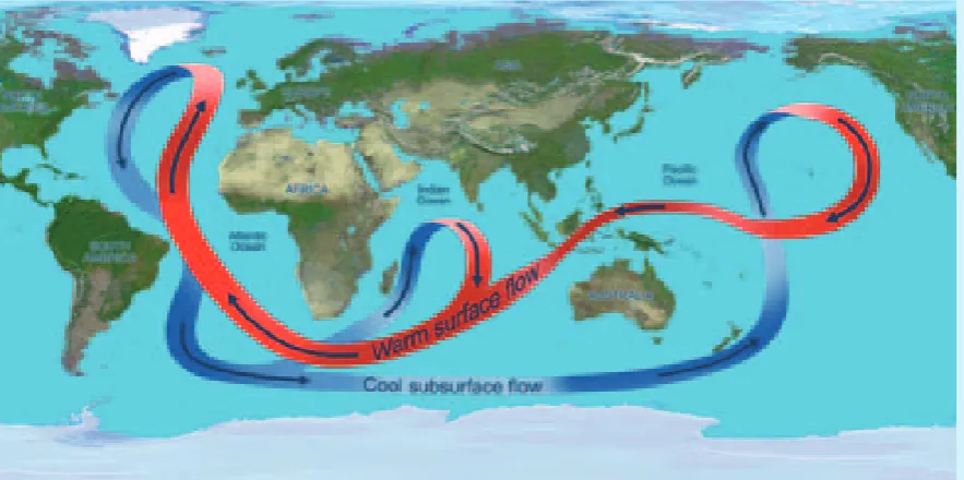 Figure BOX 1.2. Simplified map of the world’s MOC. This current system transports vast amounts of heat and salt around the planet via warmer surface currents (red) and colder deep currents (blue)