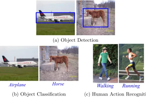 Figure 1.1: Examples of visual recognition tasks. The goal of object detection is to localize the instances of a particular object in the image, while object classification is only required to predict whether an instance of an object is present in the imag