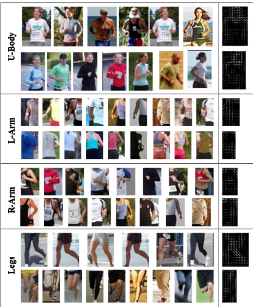 Figure 4.5: Examples of poselets for each part from the running action. Each row corre- corre-sponds to one poselet