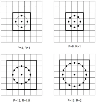 Figure 11: Examples of varying point number and radius value congurations used in MLBP.