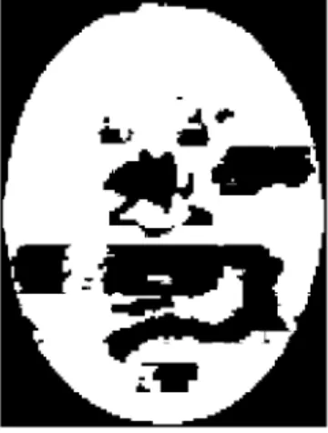 Fig. 4. Face region in elliptic shape. 