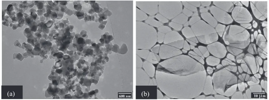 Figure 1TEM images of (a) TiO2 and (b) GO nanomaterial.