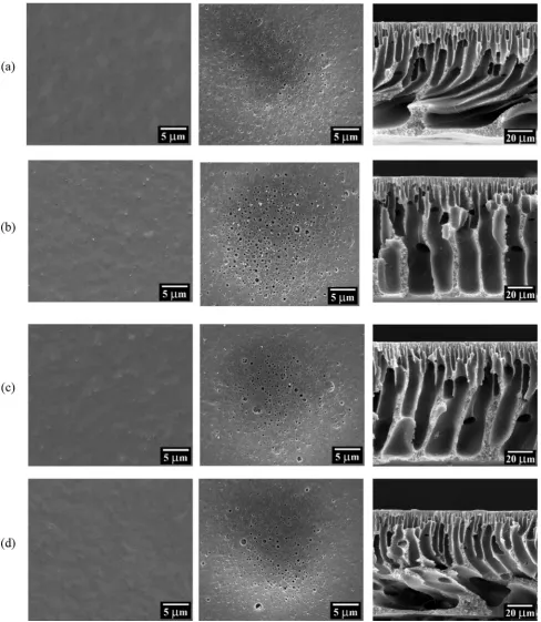 Figure 2SEM images of top and bottom surface and cross section of PSF substrates prepared from different nanoparticle adding (a)Substrate (control), (b) SubstrateTiO2, (c) SubstrateTiO2/GO and (d) SubstrateGO.