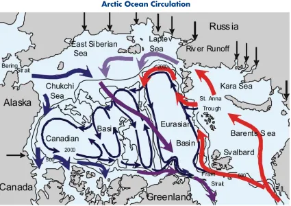 Fig. 3: Schematic circulation of upper layer water (thick arrows) and intermediate water (thin arrows)