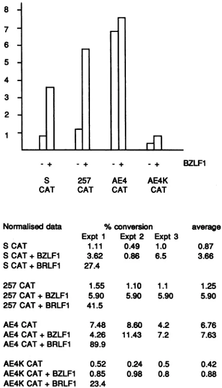 FIG. 7.previouslyregionalignmentindicatedmatchesMcatedinquencesegment Fig. sequence, Relationship of footprints seen in Fig