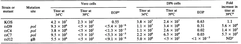 TABLE 1. Efficiency of plating of HSV ts mutants on Vero and DP6 cells