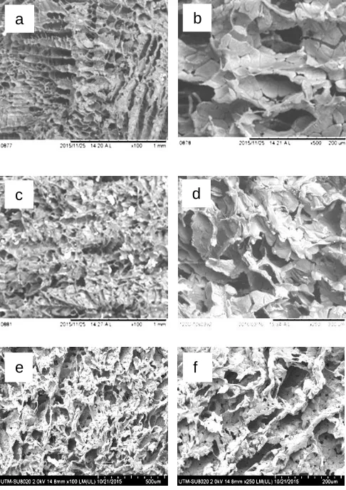 Figure 2 SEM micrographs of scaffolds, (a, b) PCL, (c, d)PCL/HA and (e, f) PCL/HA/PPY at different magnifications   
