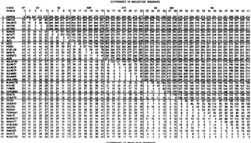 FIG.2.lineagesavian;Difference matrix of nucleotide and amino acid sequences for 41 influenza A virus NP genes