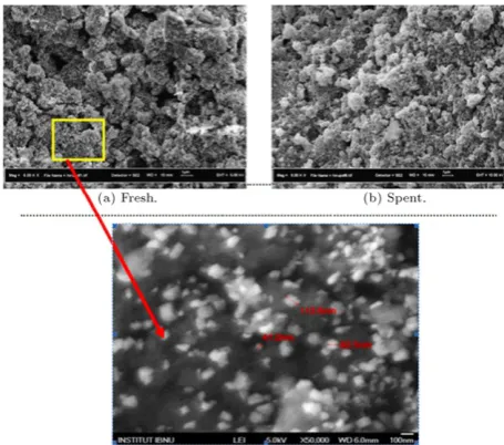 Figure 9:FESEM micrographs of fresh and spent Pdcatalysts, calcined at 400/Ru/Ni (2:8:90)/Al2O3 °C for 5 h with magnification 5000× and 50,000×.